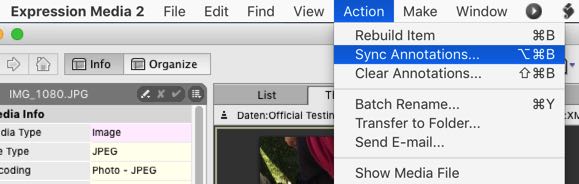 iView Sync Annotations command